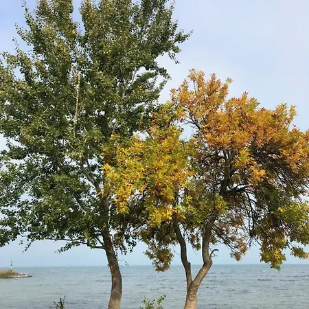 Sun And Beach Vacation In * Siofok