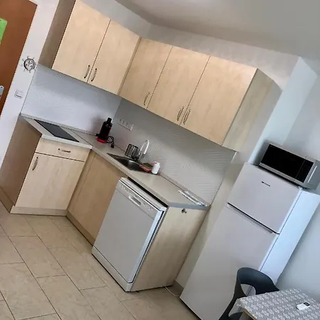 Sun And Beach Vacation In Apartment Siofok